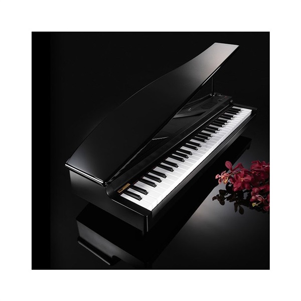 KORG microPIANO BK ブラック【贈り物にも最適♪】【超長期欠品・次回納期未定】 画像2