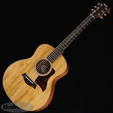 TAYLOR GS Mini Mahogany 画像1