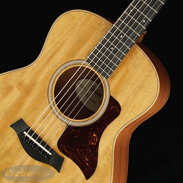 TAYLOR GS Mini Mahogany 画像3