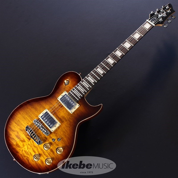 Aria ProII PE-480 (Brown Sunburst) 画像1