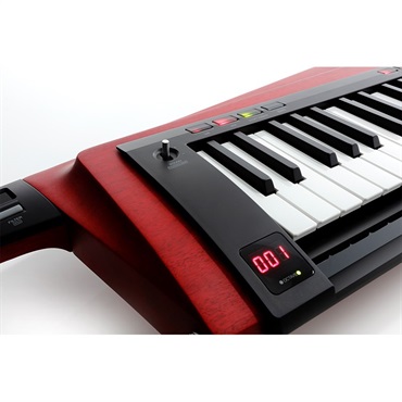 KORG RK-100S 2 RD(レッド)(KEYTAR) 画像5