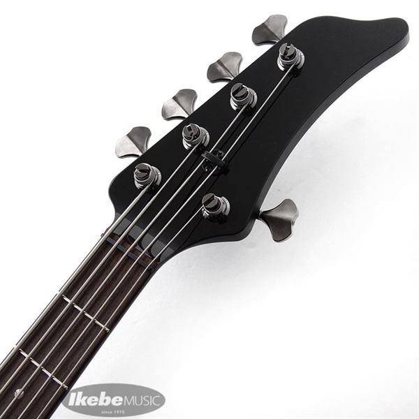 EVO EVO BASS B0101Z-5 aguilar D-Silver Proto 完全限定！ ｜イケベ楽器店