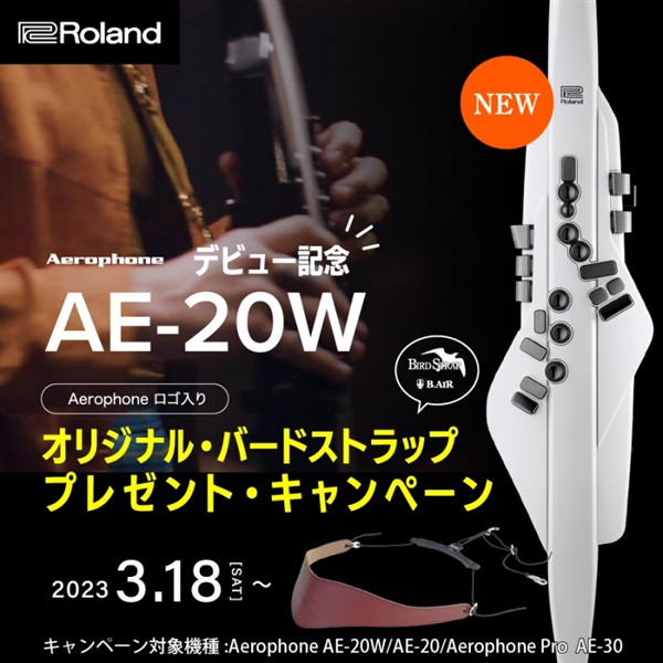 Roland AE-30 Aerophone Pro 【お買得 4点セット！】 【交換用マウス