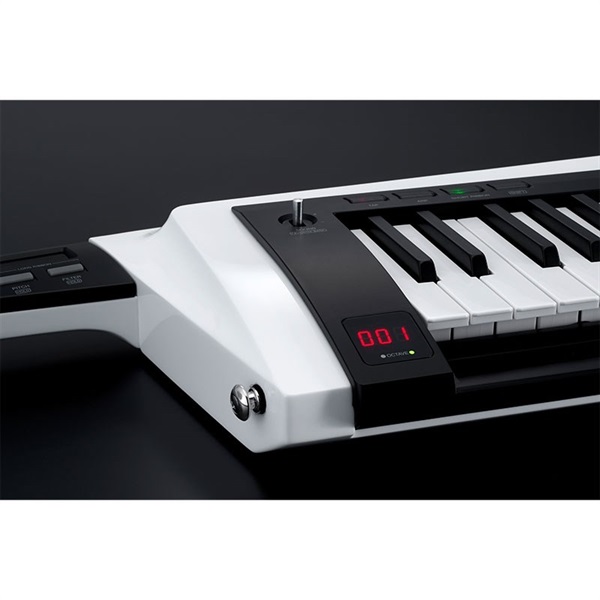 KORG RK-100S 2WH(グロス・ホワイト)(KEYTAR) 画像4