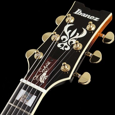 Ibanez JSM10-VYS [John Scofield Model] 画像6