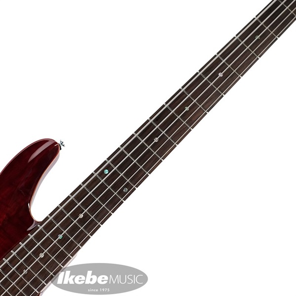 SCHECTER JOL-CT-B-5 (BKCH) smcint.com