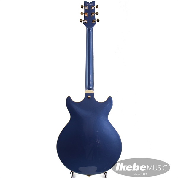 Ibanez Artcore Expressionist AMH90-PBM [SPOT MODEL] 【即納可能 ...