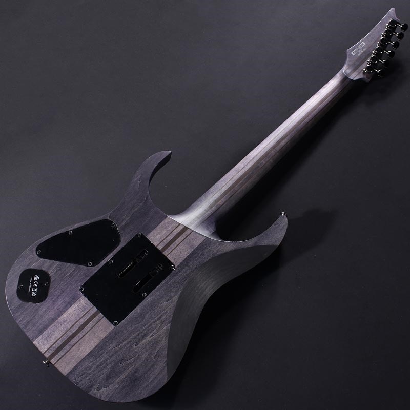 Ibanez Premium RGT1270PB-DTF 画像6