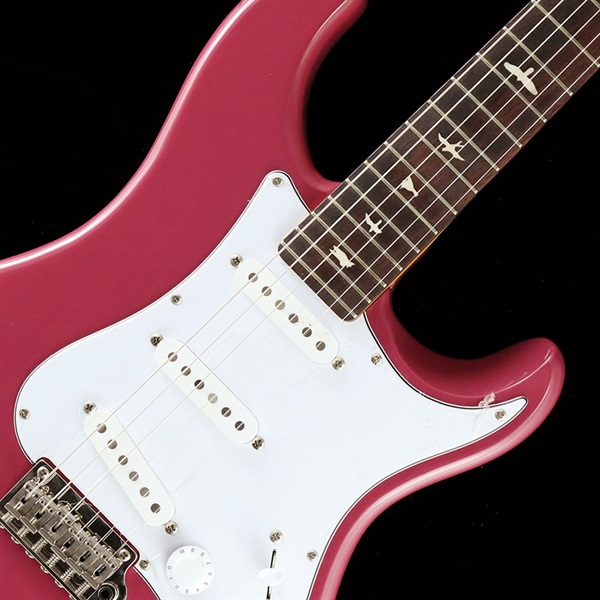 P.R.S. SE Silver Sky (Dragon Frut) [John Mayer Signature Model