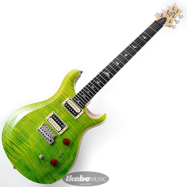 P.R.S. SE Custom 24-08 (Eriza Verde) ｜イケベ楽器店