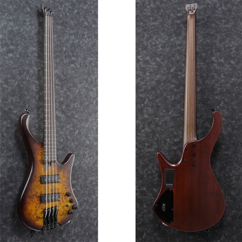 Ibanez Bass Workshop EHB1500-DEF 【特価】 ｜イケベ楽器店