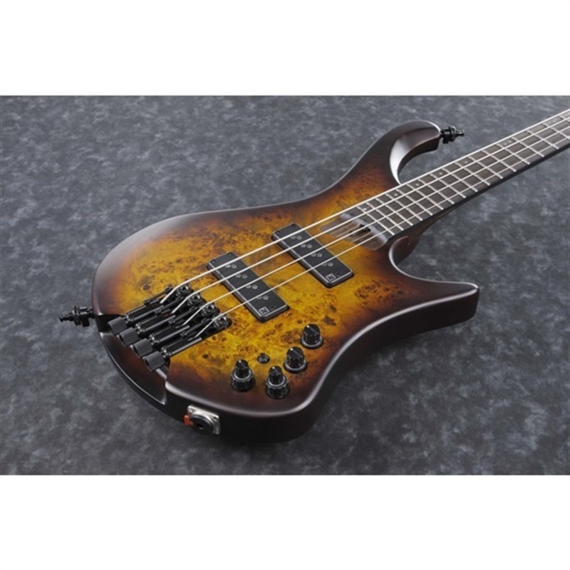 Ibanez Bass Workshop EHB1500-DEF 【特価】 ｜イケベ楽器店