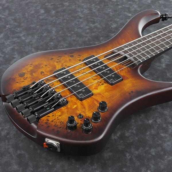 Ibanez Bass Workshop EHB1505-DEF 【特価】 ｜イケベ楽器店