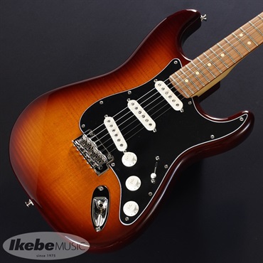 Fender MEX Player Stratocaster Plus Top (Tobacco Sunburst/Pau Ferro) [Made In Mexico] 画像2