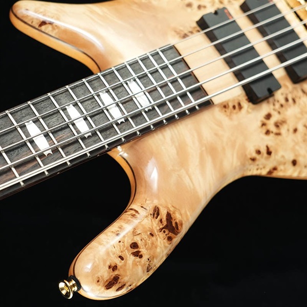 SPECTOR Euro 5 LX (Poplar Burl Gloss)【在庫処分超特価】 ｜イケベ楽器店