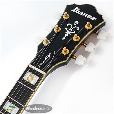 Ibanez AF200-BS [特価] 画像8