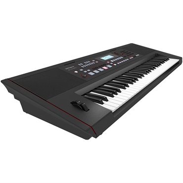 Roland E-X50 Arranger Keyboard 画像1