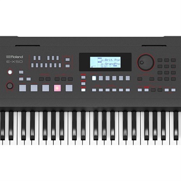 Roland E-X50 Arranger Keyboard 画像2