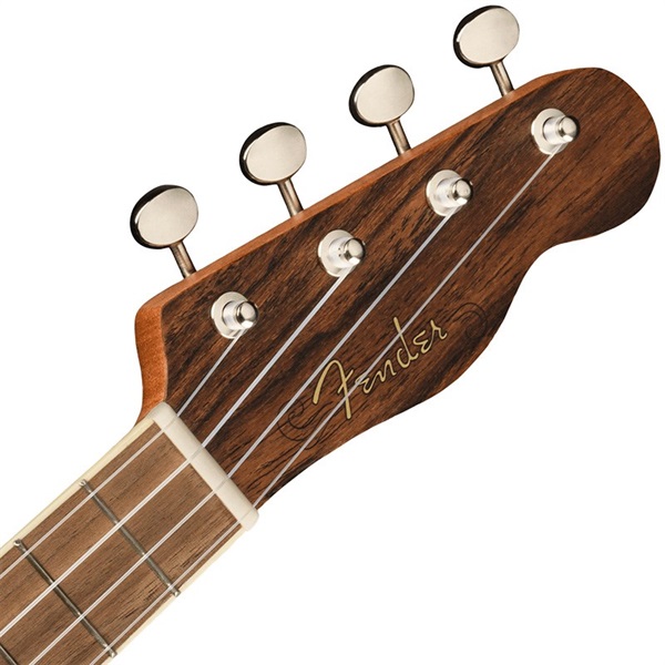 Fender Acoustics Zuma Exotic Concert Ukulele (Bocote) 【お取り寄せ