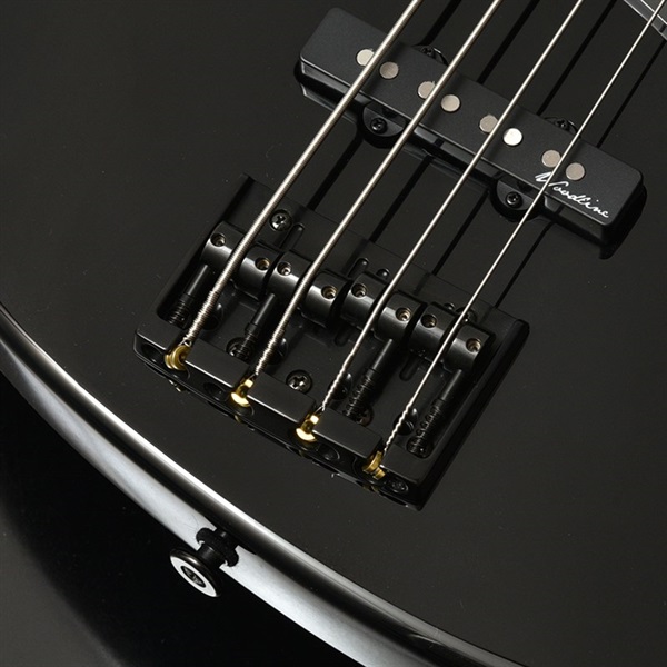 Bacchus IKEBE ORIGINAL WOODLINE417 ALL BLACK ｜イケベ楽器店