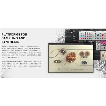 Native Instruments KOMPLETE 14 COLLECTOR'S EDITION Update