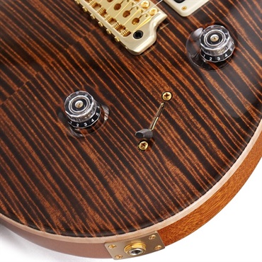 P.R.S. Ikebe Original Wood Library Custom24 McCarty Thickness Espresso #0340514 画像7