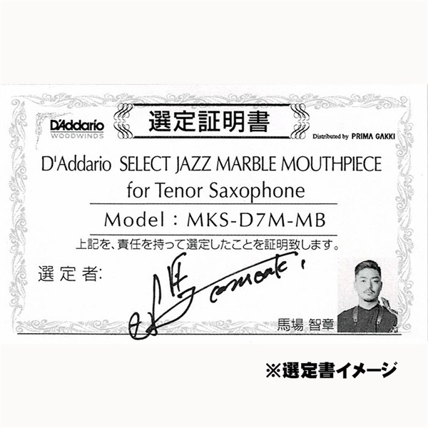 D'Addario Wood Winds 【旧定価品！】【馬場智章氏選定品】「D7M