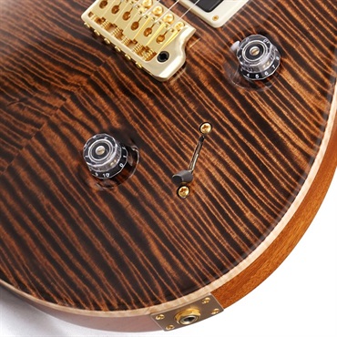 P.R.S. Ikebe Original Wood Library Custom24 McCarty Thickness Espresso #0340062 画像7