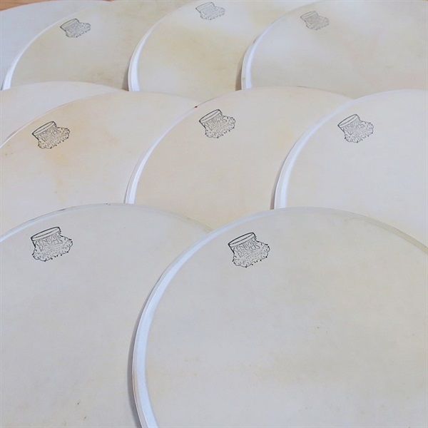 Kentville Drums Kangaroo Hide Drum Head 14 [Heavy Gauge (12-14mils)] 画像3