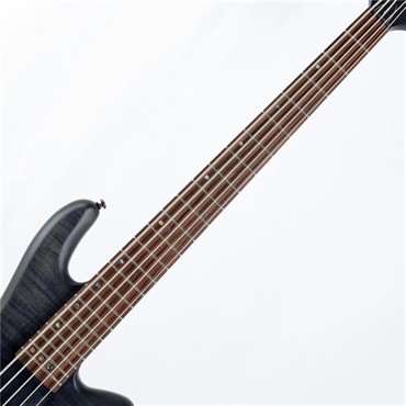 SCHECTER STILETTO STUDIO-5 [AD-SL-ST5] (STBLS) 画像2