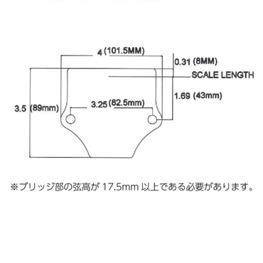 Stetsbar PROIII STOPTAIL NICKEL ストップテイル用トレモロブリッジ 画像2