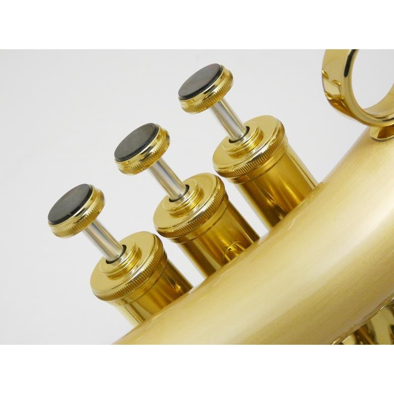 CAROL BRASS キャロルブラス / N6200 EURO BELL SATIN-BELL GB 【Bb フリューゲル ホルン】【新品チョイキズ超特価】【調整後出荷】 画像4
