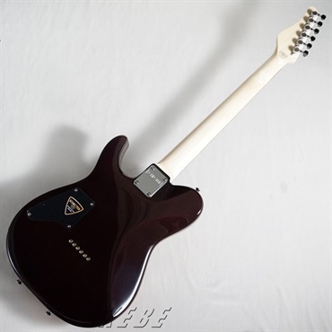 SCHECTER KR-24-2H-FXD (Amber/R) 画像5