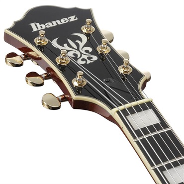 Ibanez Artcore Expressionist AF95-DA [SPOT MODEL] 画像4