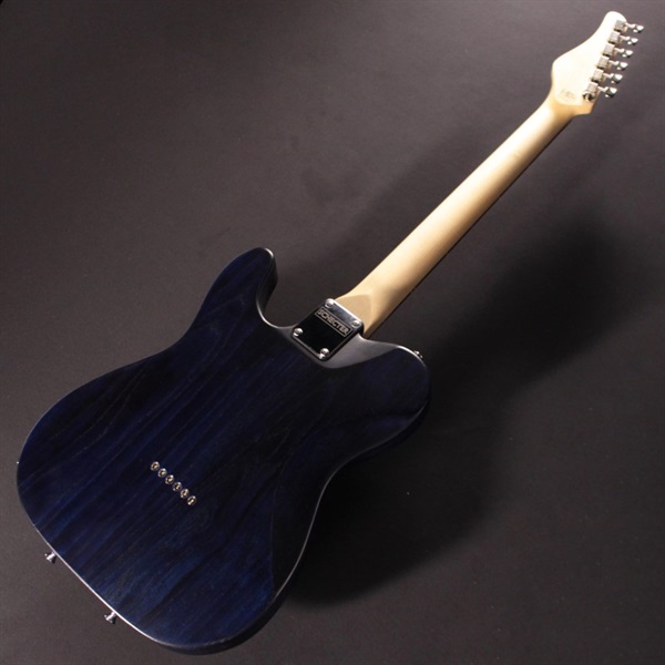 SCHECTER IKEBE ORDER Progauge Series PS-S-PT (PBT/R) ｜イケベ楽器店