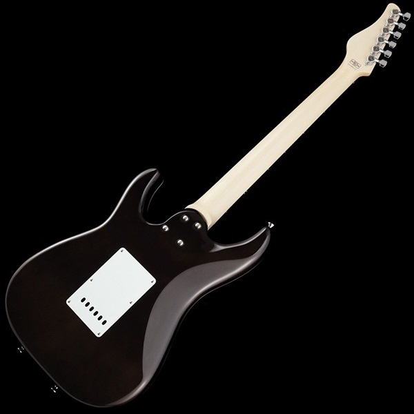 SCHECTER SD-2-24-AL-VTR (Black/Rosewood) 画像2