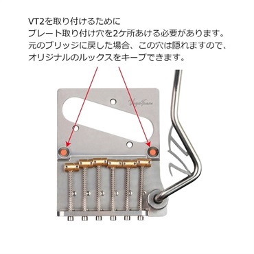 Vega-Trem 【お取り寄せ商品】 VT2 Teletrem modern[VTロゴつきアーム付属版] 画像3