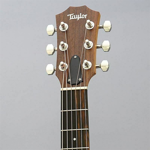 TAYLOR GS Mini-e Koa Plus 【数量限定特価】 ｜イケベ楽器店