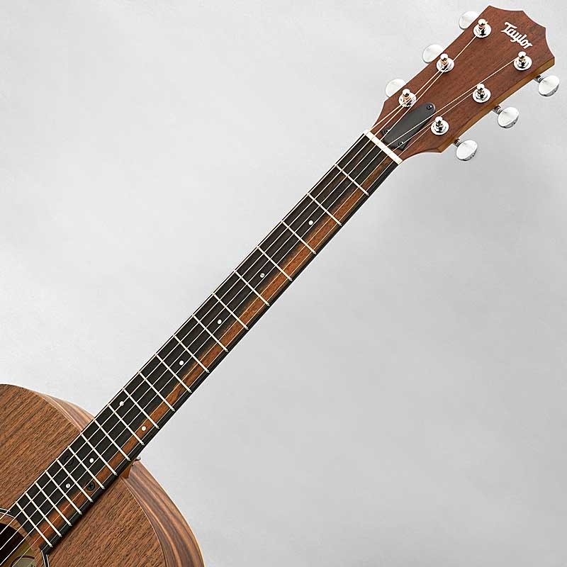 TAYLOR Big Baby Taylor Walnut (BBT Walnut) ｜イケベ楽器店