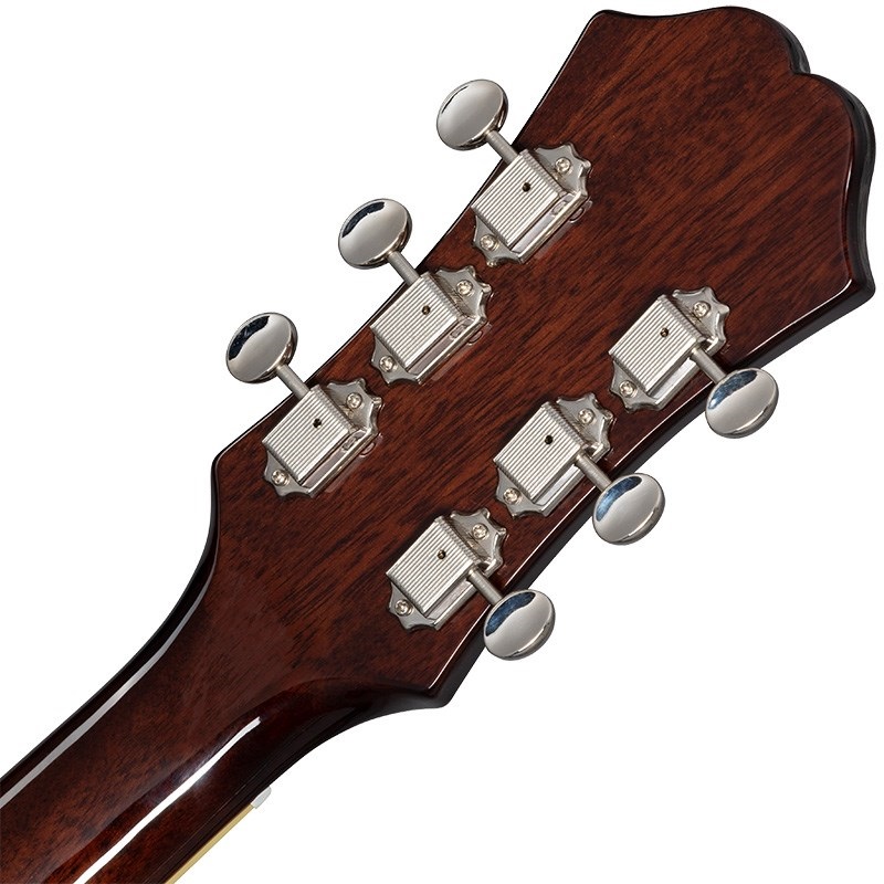エピフォン クラシックギター アコースティックギター C-5／NS - 楽器/器材