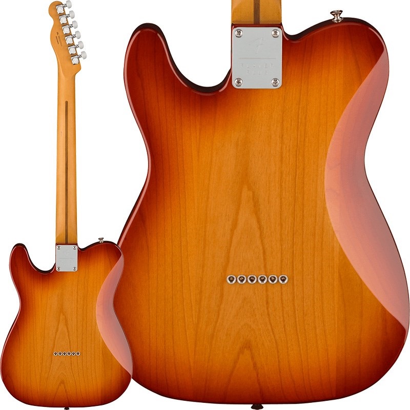 Fender MEX Player Plus Nashville Telecaster (Sienna Sunburst/Pau Ferro) [Made In Mexico] 画像1