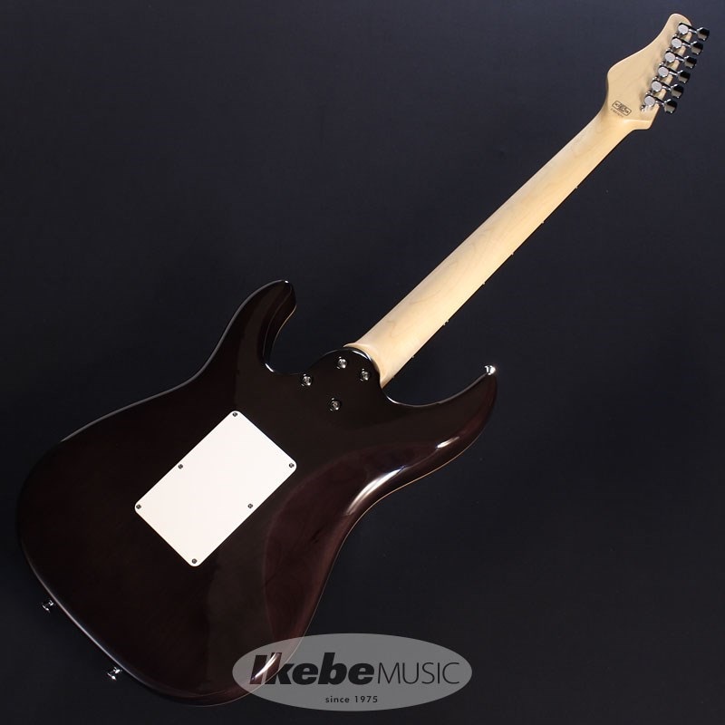 SCHECTER SD-2-24-AL (See-Thru Black/Rosewood) 画像5