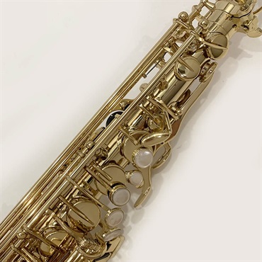 Selmer Paris セルマー アルトサックス SA-80II Jubilee GL S/N:789xx0 画像3