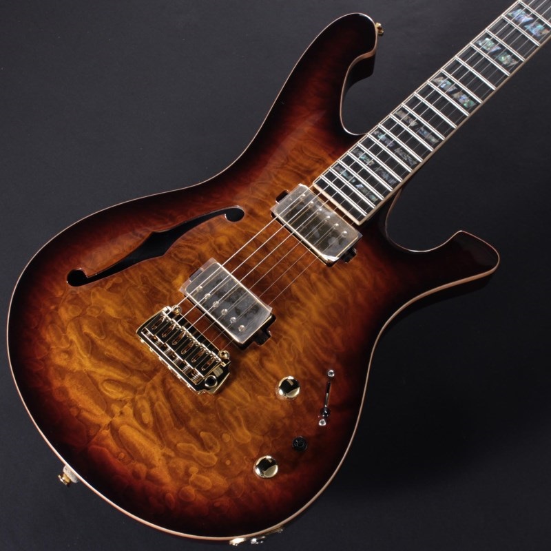 MD Guitars MD-Premier G1-Reborn (Brown Sunburst) #2303003 画像2