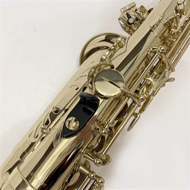 Selmer Paris セルマー アルトサックス AXOS S/N:A07xx2 画像8