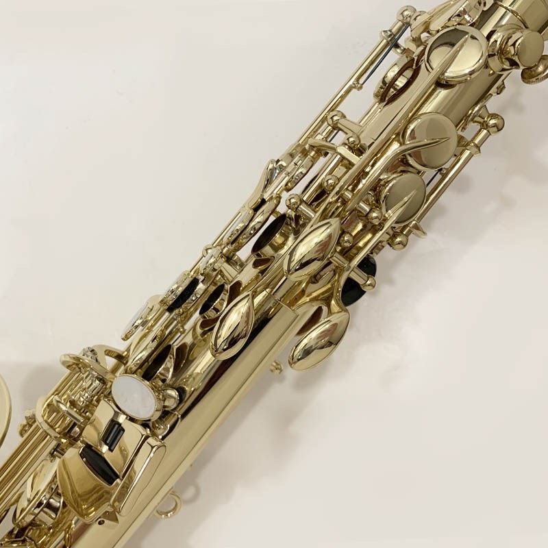 Selmer Paris セルマー アルトサックス AXOS S/N:A07xx2 画像10