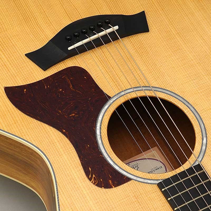 TAYLOR 214ce-K DLX【数量限定特価】 ｜イケベ楽器店