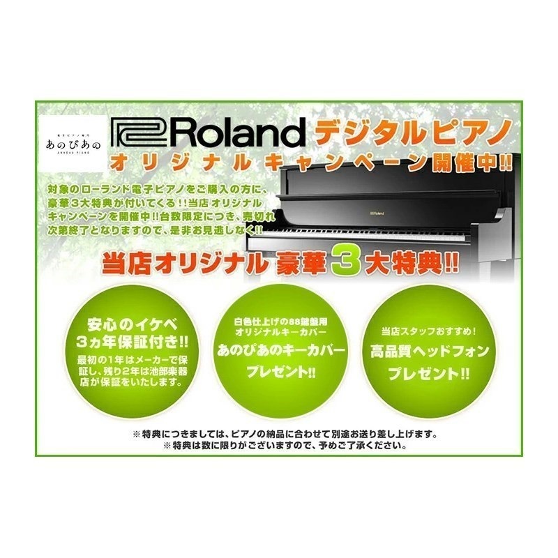 Roland (当店限定・3年保証)【最短納期据付】LX705-LAS（ライトオーク
