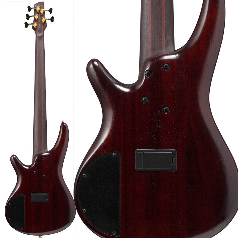 Ibanez Premium SR1605DW-DEL [SPOT MODEL] 【特価】 ｜イケベ楽器店