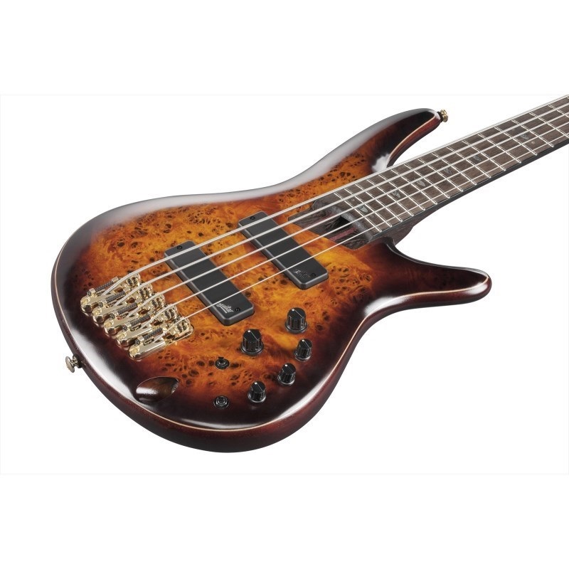 Ibanez Premium SR1605DW-DEL [SPOT MODEL] 【特価】 ｜イケベ楽器店